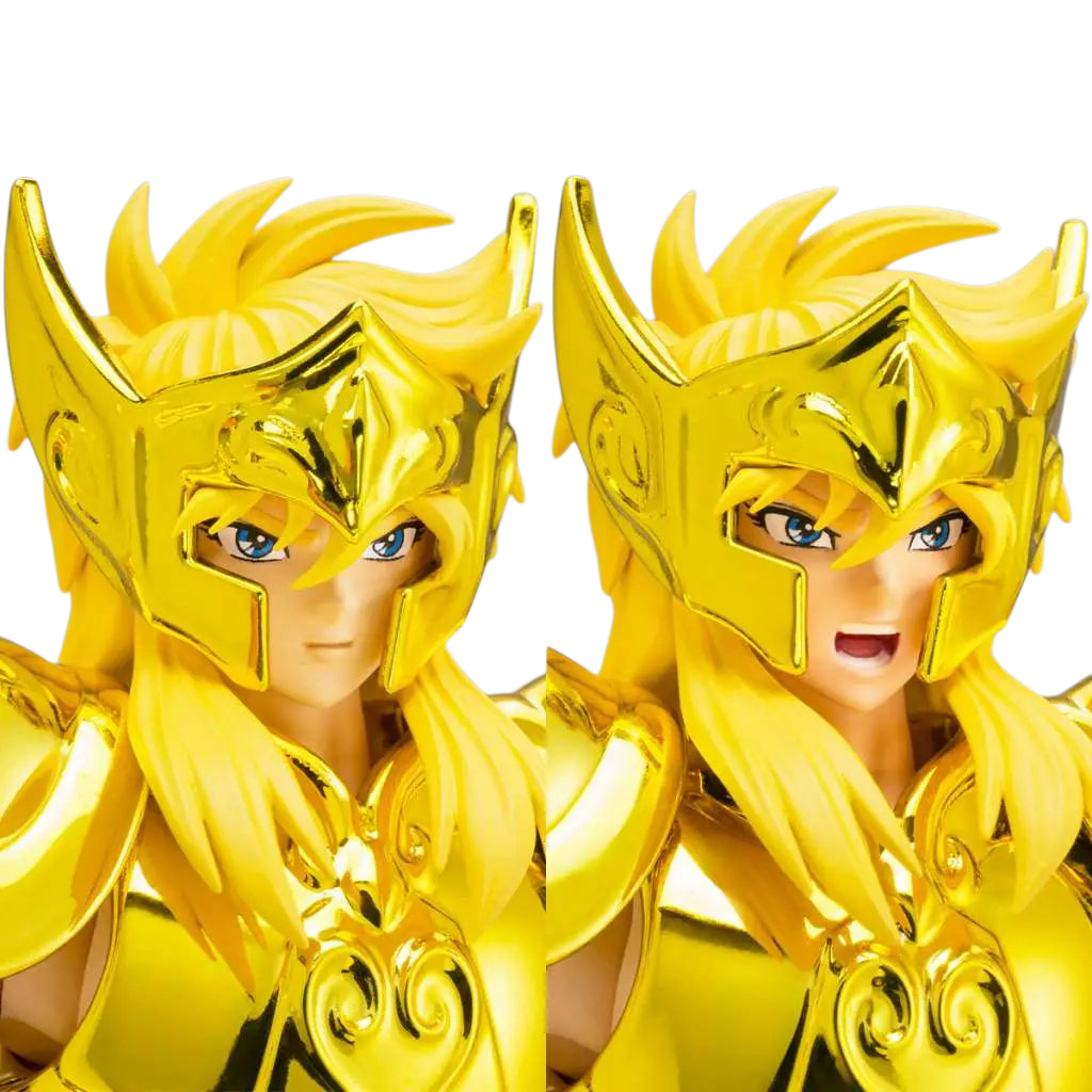 Hyoga du Cygne - Saint Cloth Myth EX Aquarius Inheritor BANDAI