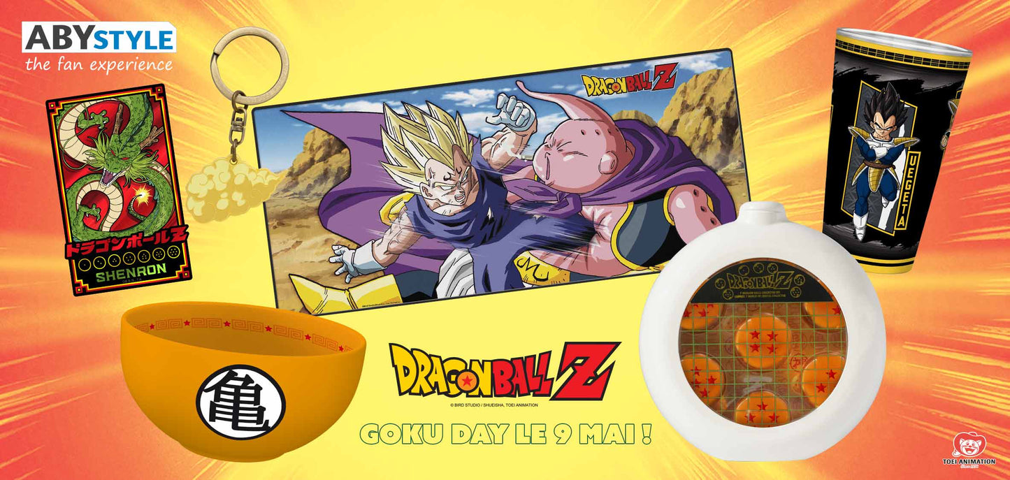 DRAGON BALL - Tirage encadré FSC MIX "Voyage familiale" (30x40) x2