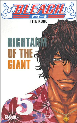 Bleach - Tome 05