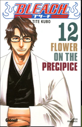 Bleach - Tome 12