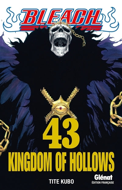 Bleach - Tome 43