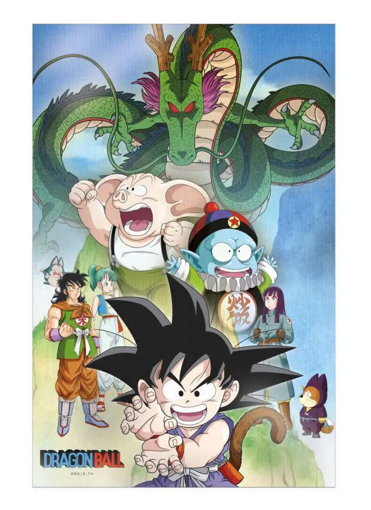 DRAGON BALL SHENRON AND HEROES 3D POSTER - Vue 5