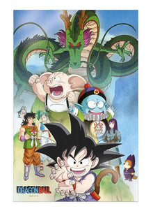 DRAGON BALL SHENRON AND HEROES 3D POSTER - Vue 5