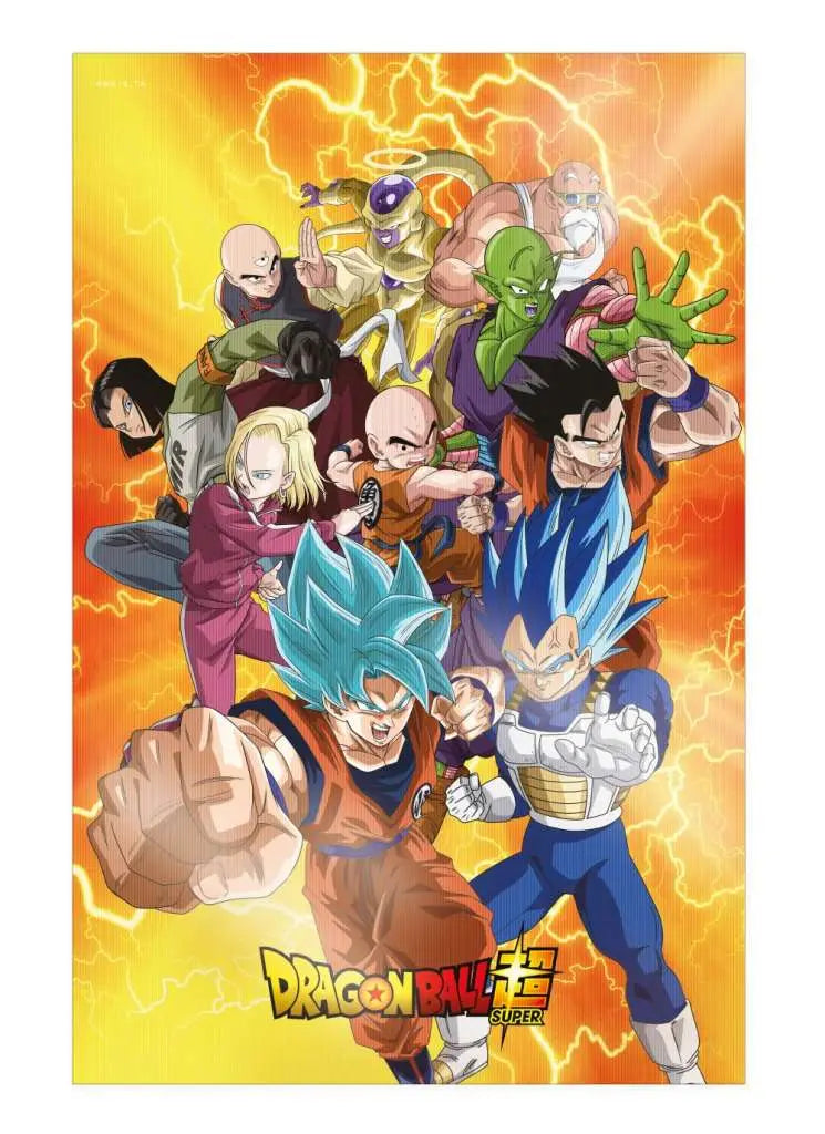 DRAGON BALL SUPER SURVIVAL HEROES 3D POSTER - Vue 5