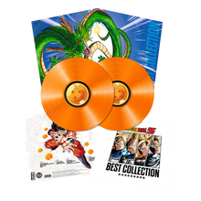 Best Collection - Vinyle Limited Edition Microids
