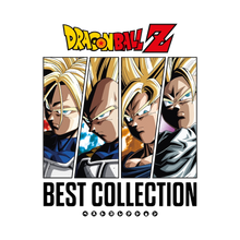 Best Collection - Vinyle Limited Edition Microids