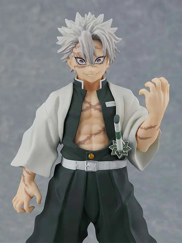 DEMON SLAYER SANEMI SHINAZUGAWA PUP - Vue 3