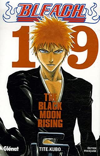 Bleach - Tome 19