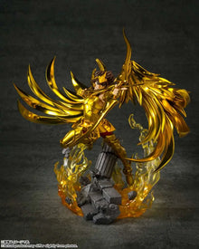 SAINT SEIYA SAGITTARIUS FIGZERO TO METAL - Vue 2