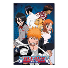Bleach - Characters - Poster 61x91cm