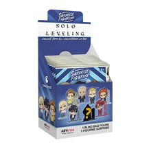 Solo Leveling Sachet surprise - Mini Acryl